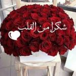 Un Grand Merci: 5000 abonnés sur la chaîne YouTube Almodaris (Apprendre l’Arabe Autrement)